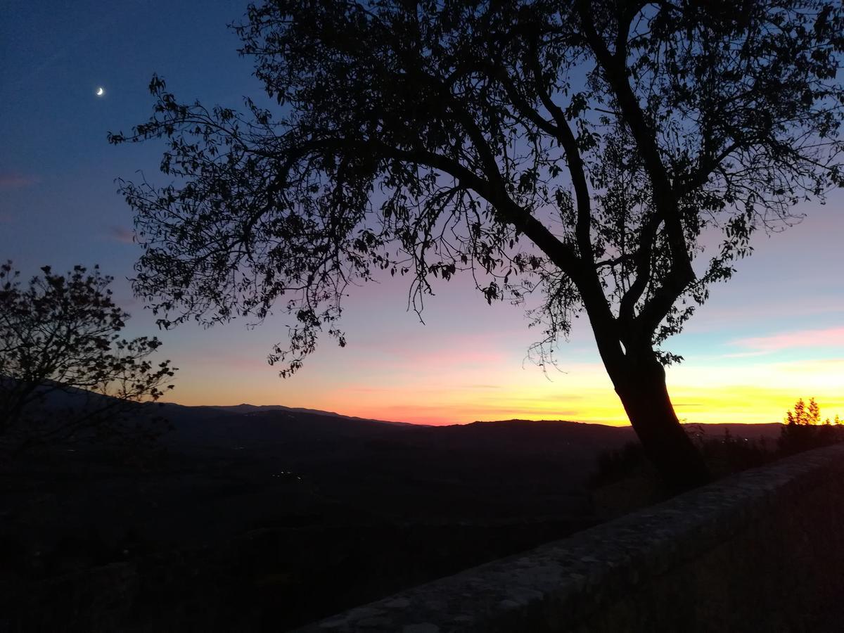 Bed and Breakfast Casa Dolce Casa Pienza Zewnętrze zdjęcie
