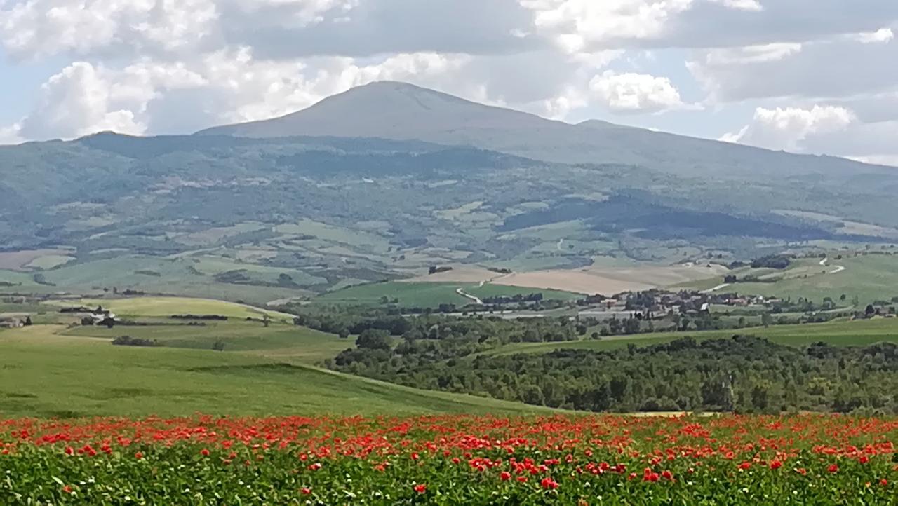 Bed and Breakfast Casa Dolce Casa Pienza Zewnętrze zdjęcie